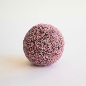 Nourishing By Sally Gluten Free & Vegan Berry Crunch Protein Balls Box of 20
