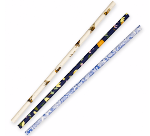 BioPak 6mm Regular Art Series Straw