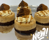 Spoon Patisserie Biscoff Cheesecake Box of 8