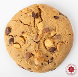 Cookie Man Individually Wrapped Bakehouse Chunky Choc Cookie Box of 12