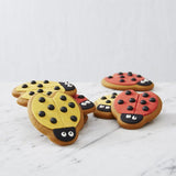 Wiltons Foods Individually Wrapped Lady Bugs Honeybread Cookies Box of 24