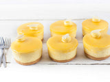 Sweet By Nature Gluten Free Lemon Baked Cheesecake Box of 6