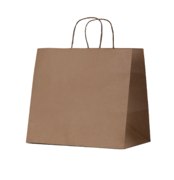 Twist Handle Kraft Large Carry Bag