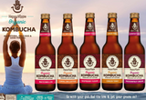 Wild One Organic Happy Hippie Kombucha Passionfruit Dream 330ml Boxes of 12