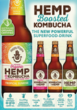 Wild One Organic Happy Hippie Hemp Kombucha Ginger Tonic 330ml Boxes of 12