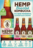 Wild One Organic Happy Hippie Hemp Kombucha Ginger Tonic 12x330ml