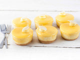 Sweet By Nature Gluten Free Lemon Baked Cheesecake Box of 6